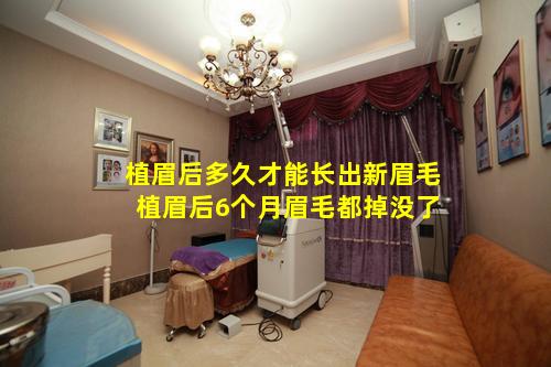 植眉后多久才能长出新眉毛 植眉后6个月眉毛都掉没了
